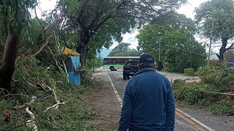 Más imágenes de los destrozos del temporal