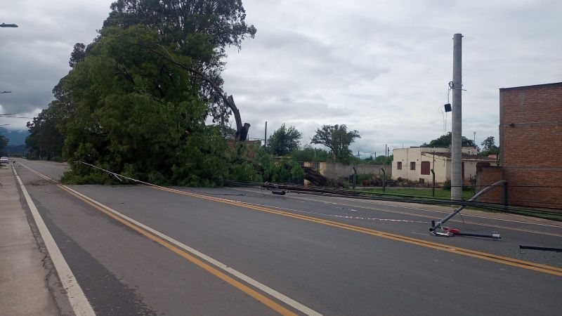 Más imágenes de los destrozos del temporal