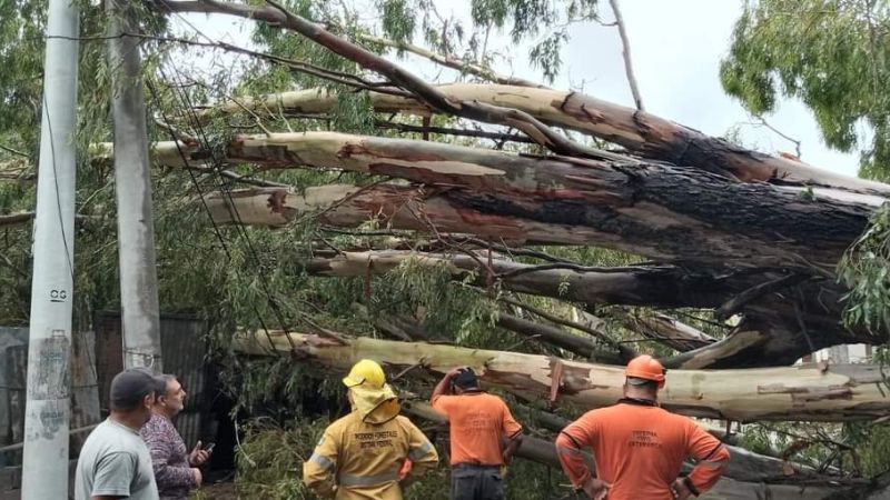 Más imágenes de los destrozos del temporal
