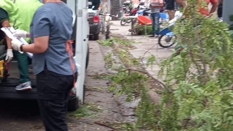 Una rama le cayó en la cabeza y la mató