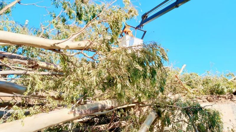 Continuan los trabajos luego del temporal