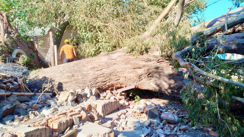Continuan los trabajos luego del temporal