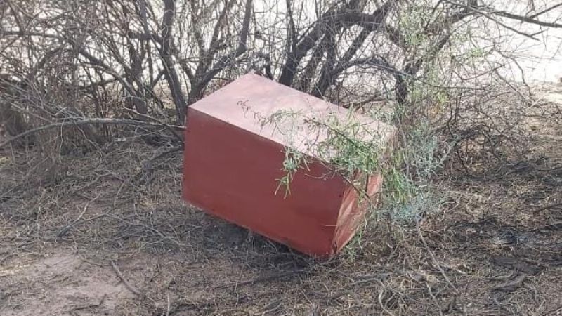 Conmoción: encuentran una caja con restos óseos