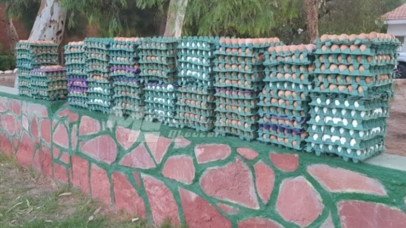 Decomisan mercadería en Fiambalá