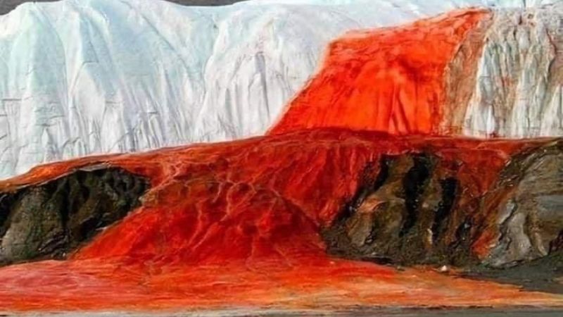 Las cataratas sangrientas de la Antártida