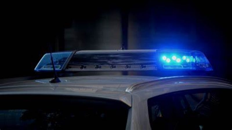 Tiro Federal: robaron varias armas de fuego