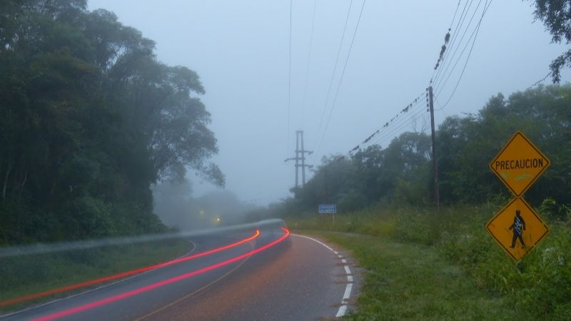 Otro siniestro vial en la Ruta Provincial 4: una camioneta chocó un caballo