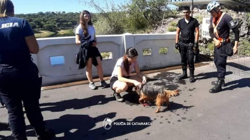 Policías rescataron un perrito que cayó al dique El Jumeal