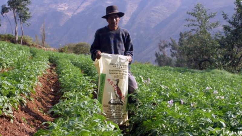 Bono para trabajadoras y trabajadores agrarios