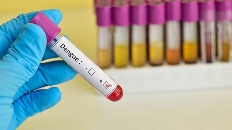 Dengue: cronograma semanal