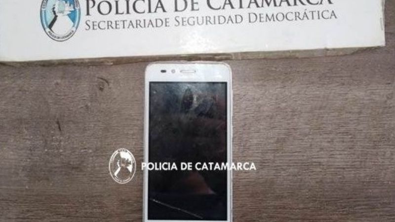 Detienen a una joven que arrebató un celular