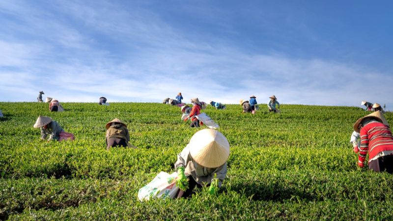 Jujuy implementará el Programa de Acciones Sustentables para Actividades Productivas