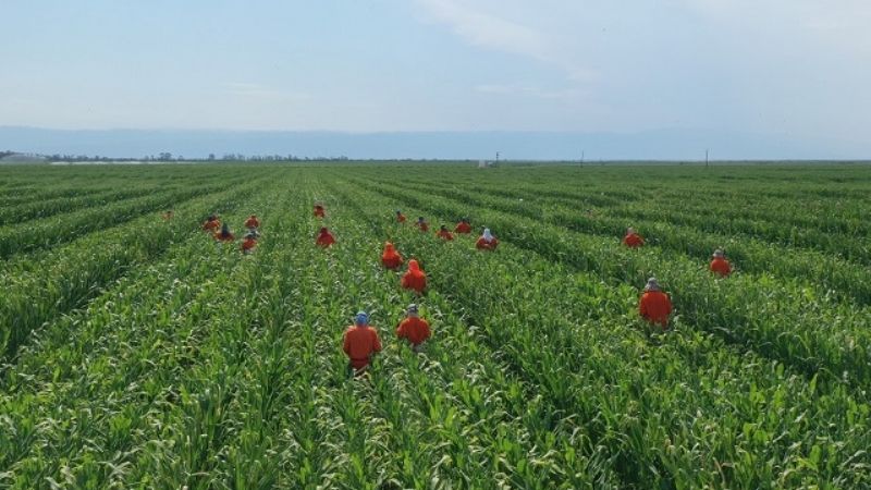Jalil recorrió empresas agroindustriales en el Este catamarqueño