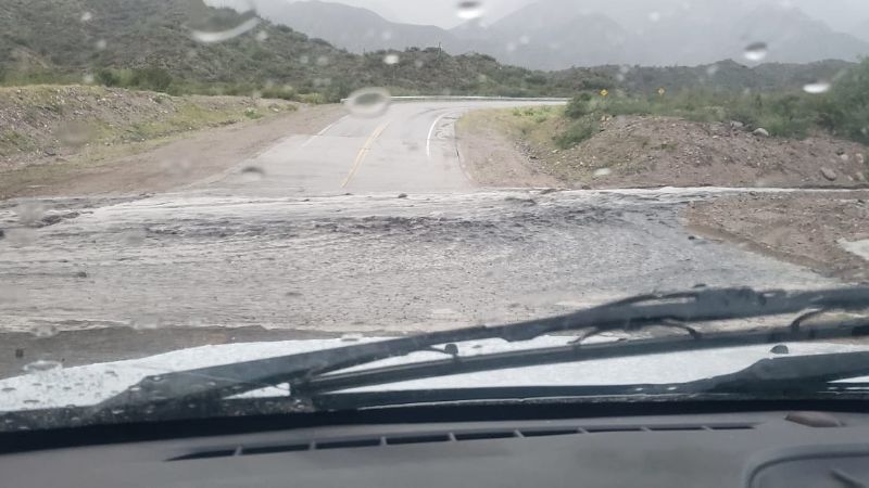 Transitar con precaución por Ruta Nacional 60, en La Cébila