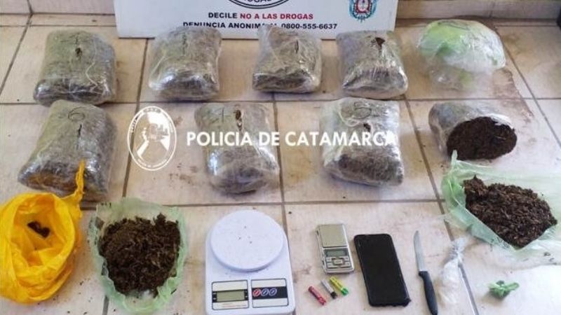 Secuestran casi 8 kilos de marihuana “Kripy”