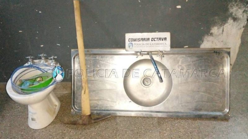 Detuvieron a un cuatrero, un golpeador y varios choros