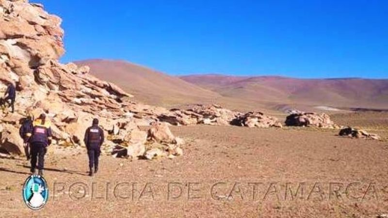 Secuestran cueros de vicuñas en Antofagasta de las Sierras