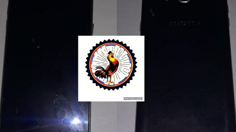 Recuperan elementos sustraídos