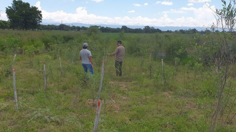 El Este avanza en las mediciones del MBGI