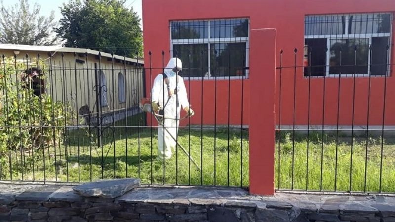 Trabajos de desmalezamiento y fumigación en escuelas de Santa María