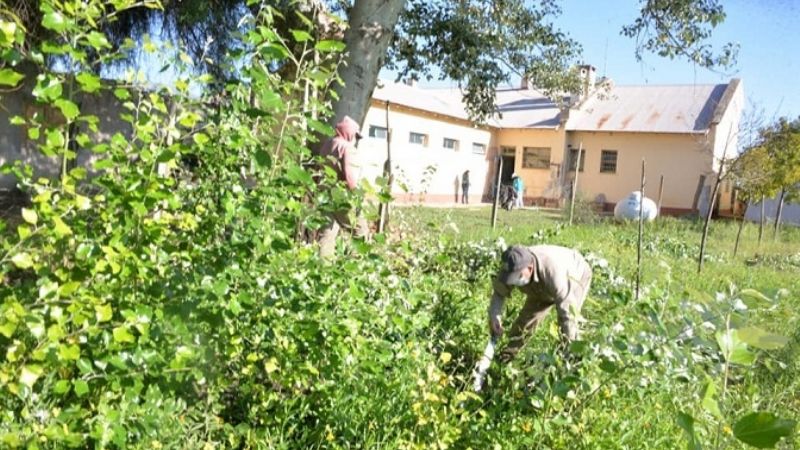 Trabajos de desmalezamiento y fumigación en escuelas de Santa María