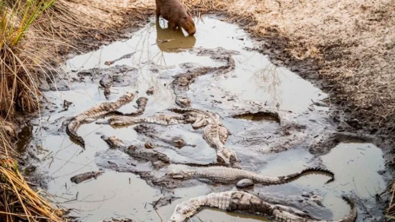 Gobernador Valdés: “Esto es una catástrofe”