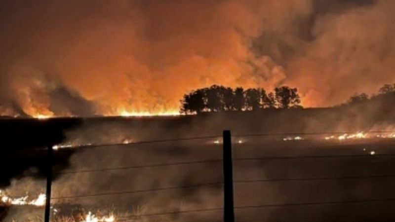 El INTA estimó que se incendió el 9% del territorio correntino