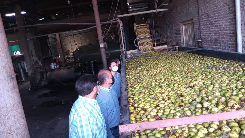 Subsidiaron con 35 millones de pesos producción de membrillo