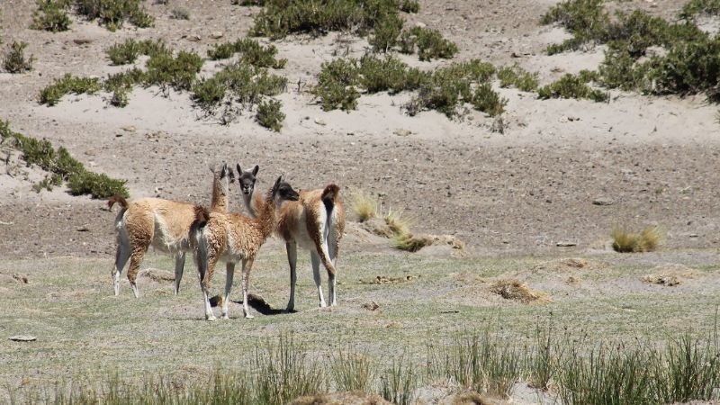 ¿Veranear en Catamarca…?; sí, por supuesto!!!