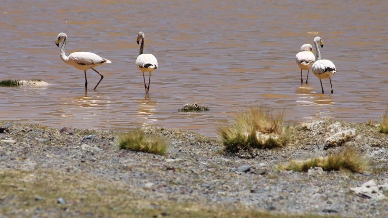 ¿Veranear en Catamarca…?; sí, por supuesto!!!