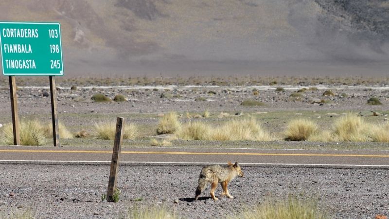 ¿Veranear en Catamarca…?; sí, por supuesto!!!