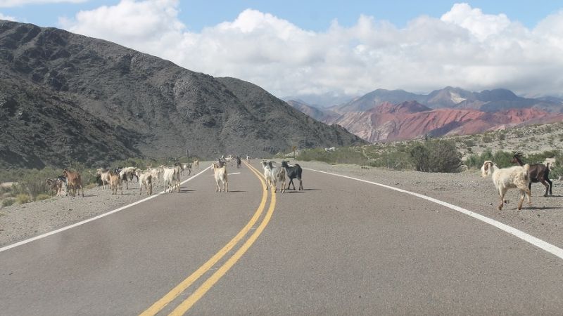 ¿Veranear en Catamarca…?; sí, por supuesto!!!