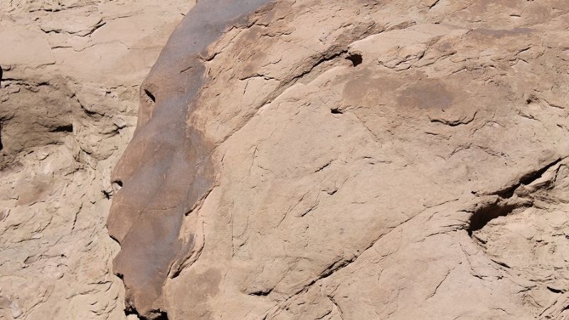 ¿Veranear en Catamarca…?; sí, por supuesto!!!