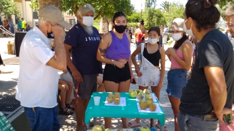 Andalgalá elaboró el dulce de membrillo más grande del mundo