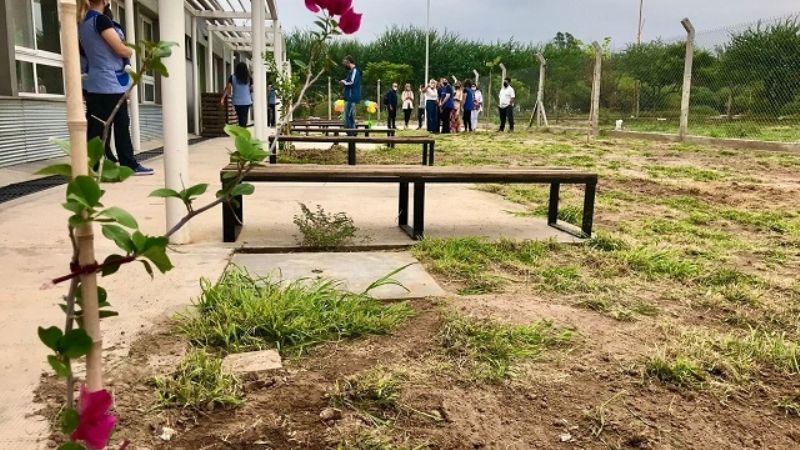 Árboles para el jardín maternal del CAPE