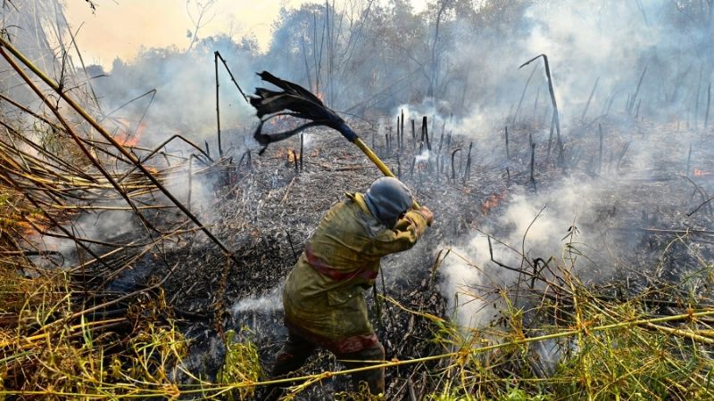 Los incendios se redujeron en un 30% en Corrientes, informó Valdés