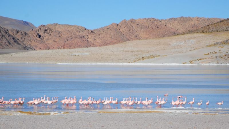 Volcán Galán, un lugar único en el mundo