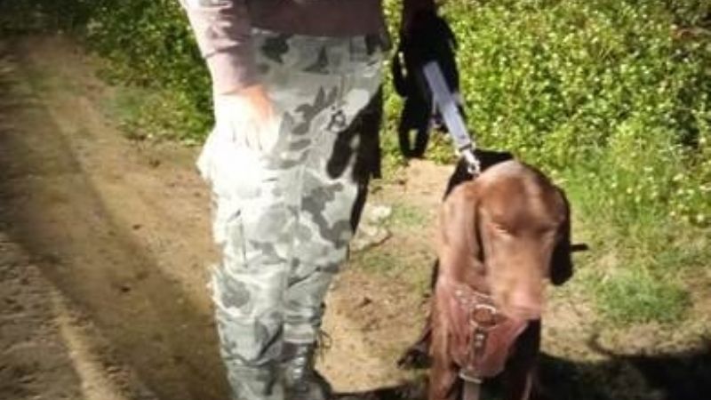 Encontraron a un menor con hipotermia