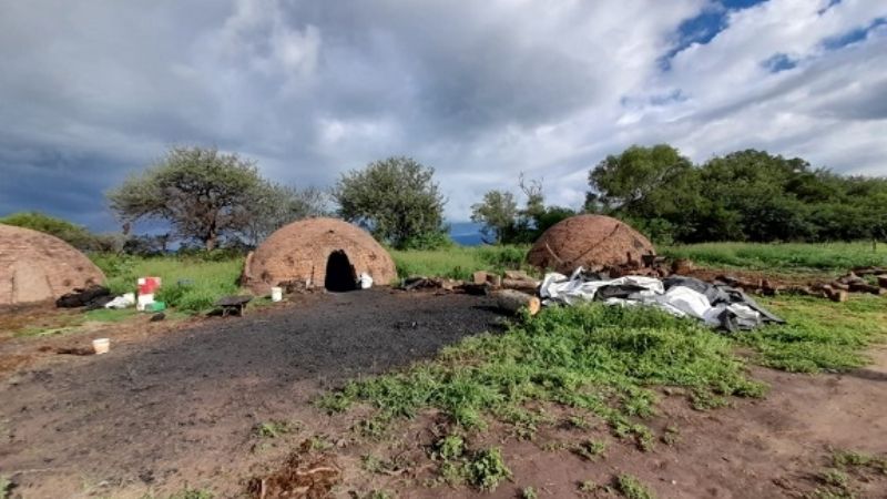 Desarticulan comercio clandestino de carbón