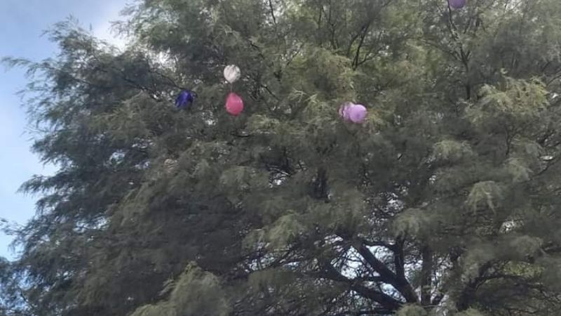 Suelta de globos recordando a Brenda Micaela Gordillo: "Siento que se hizo justicia"