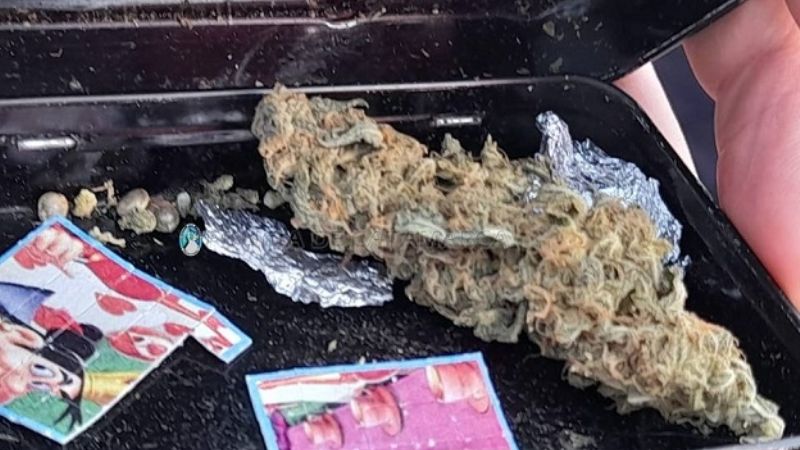 Secuestran 46 dosis de LSD y marihuana