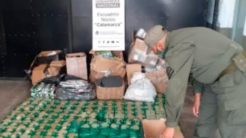 Descubren en encomiendas 118 kilos de hojas de coca