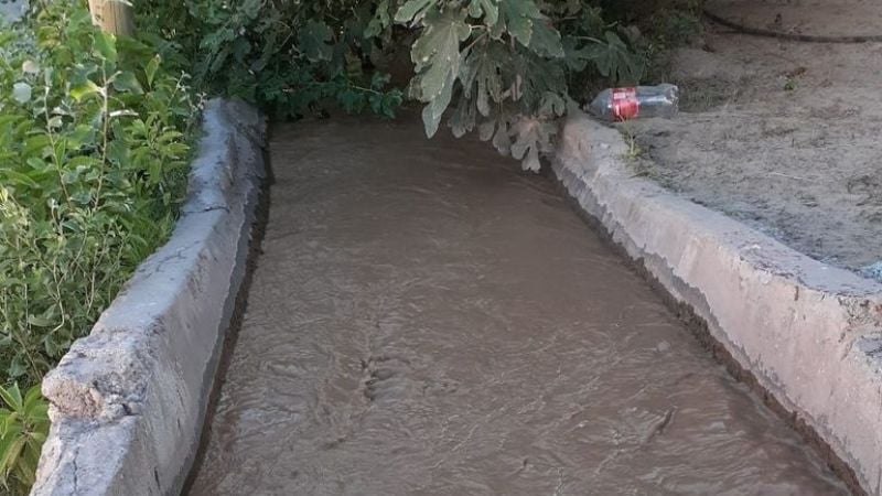 Nene de tres años murió ahogado en un canal