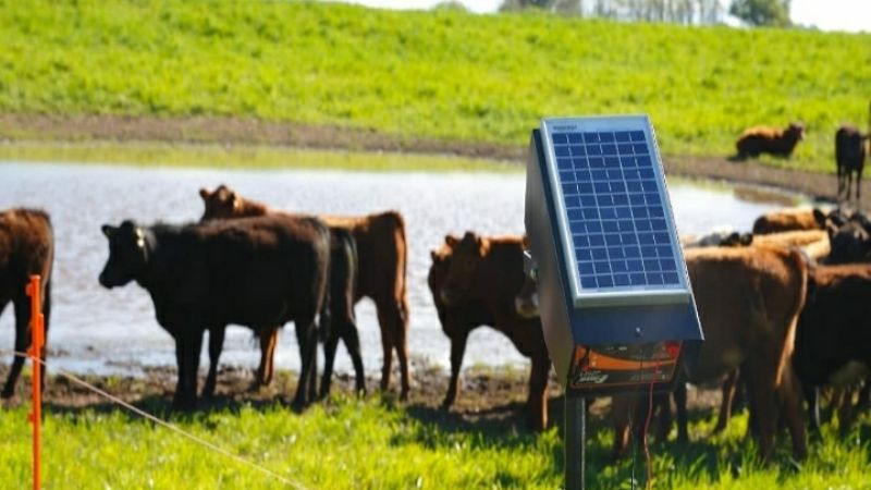 Se entregarán 406 boyeros solares a pequeños productores del interior