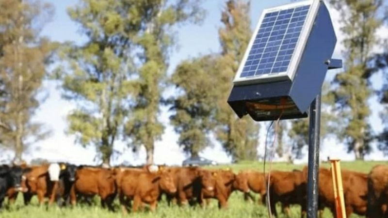 Se entregarán 406 boyeros solares a pequeños productores del interior