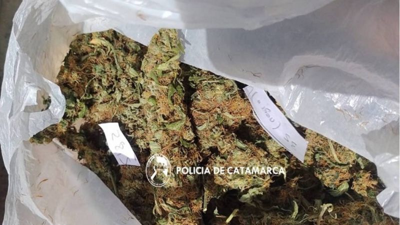 Secuestran estupefacientes en Belén