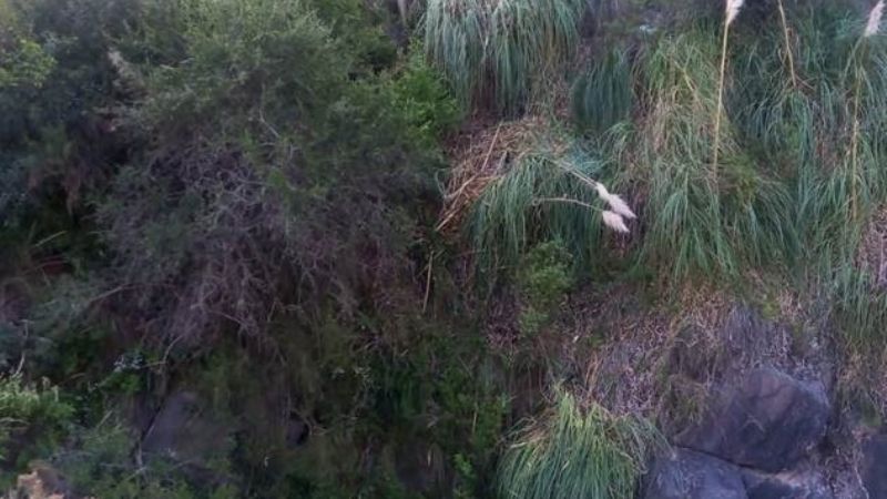 Un vehículo cayó a un precipicio de 15 metros