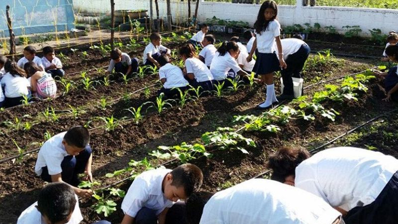 Huertas escolares para instituciones de gestión privada