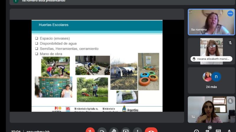 Huertas escolares para instituciones de gestión privada