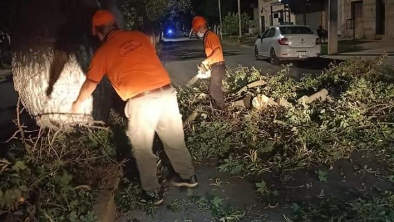 Árboles caídos por el fuerte viento a la madrugada